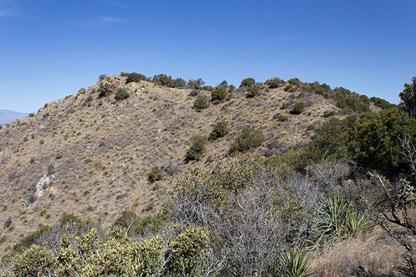 I approach the summit of Slavin Peak
