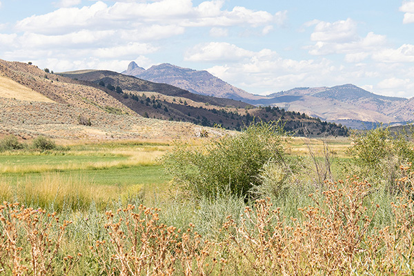 Castle Rock to the north from the North Fork of the Malheur River