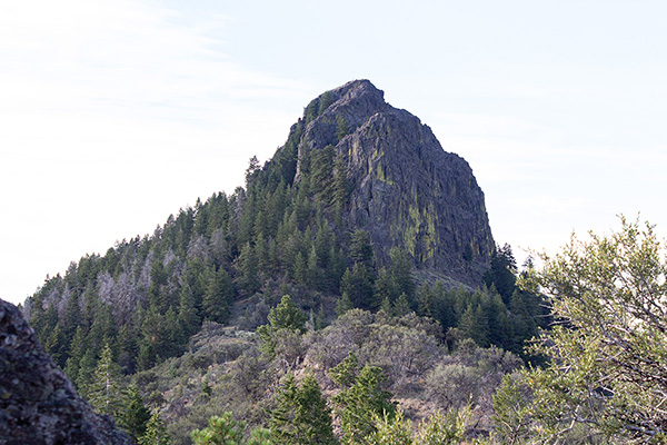 My ascent gully rises from forest left to right up the gap below the Castle Rock summit