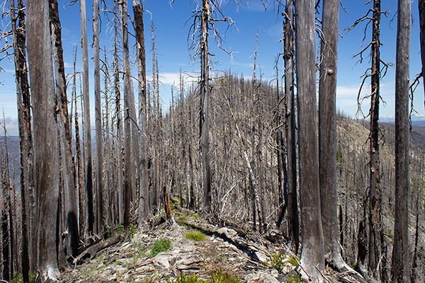 The Fish Creek summit is just beyond the next high point