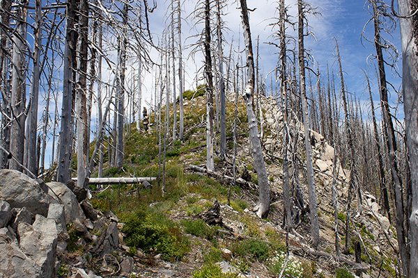 Climbing towards the rocky point just south of the lookout site