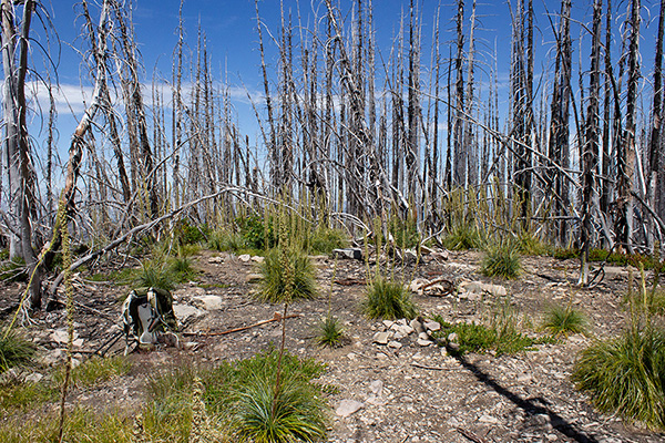 The former Fish Creek Mountain lookout site