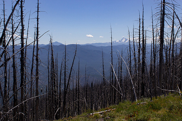 Olallie Butte and Mount Jefferson from the lookout site