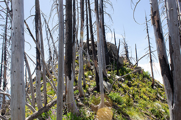 The rocky point is just a short easy scramble above the trail