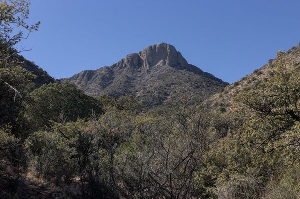 Cookes Peak directly ahead from low in the Northeast Canyon