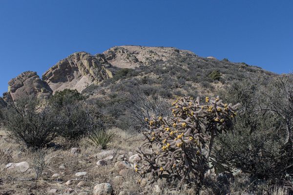 The upper southeast slopes of Cookes Peak come into view as I climb higher on the ridge