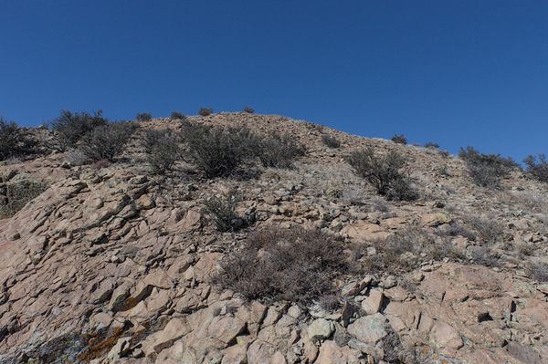 I approach the summit of Cookes Peak across rocky slopes