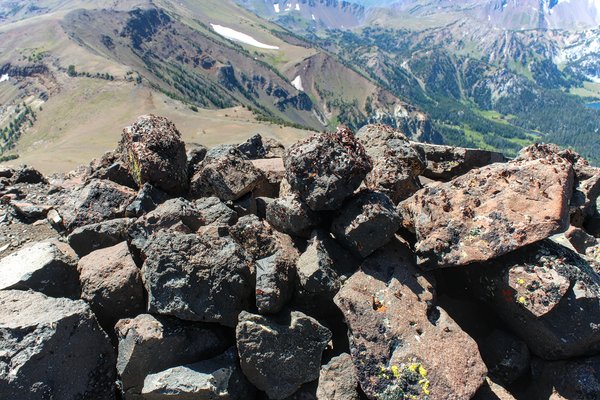 Flying ants on the Hidden Peak summit