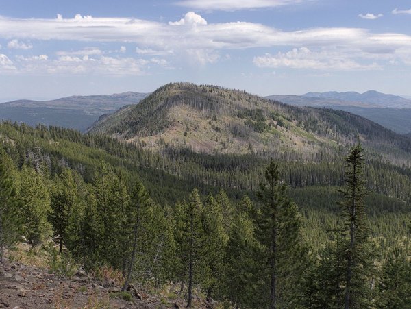 Glacier Mountain from the Sunshine Flat Trailhead