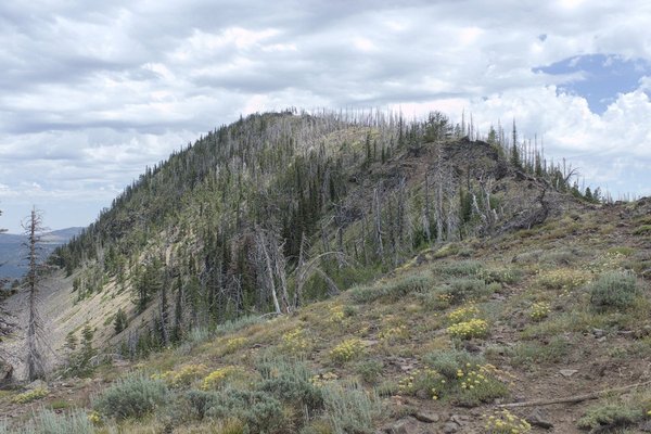 The West Ridge of Glacier Mountain from the saddle