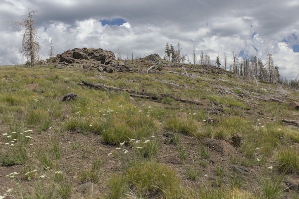 Rock outcrops high along the West Ridge