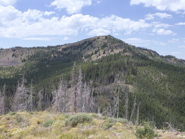 Descending towards the saddle with Lookout Mountain ahead