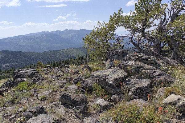 Looking west towards the Strawberry Mountains from Lookout Mountain