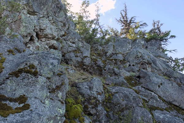 The rock was mossy, but the climbing was easy enough