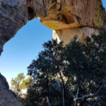 The Window