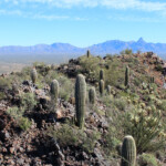 Baboquivari Mountains from the Artesa Mountains Highpoint
