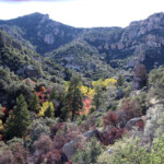 Bassett Peak from above Ash Creek Canyon