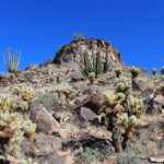 Low on the southwest ridge of Black Mountain