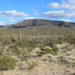 Cimarron Peak from the Pipeline Road