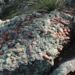Conglomerate near the summit of Apache Peaks