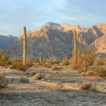 Copper Mountains