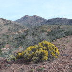 El Capitan Mountain, Mescal Mountains