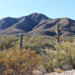 North slopes of Morena Mountain/Horse Peak