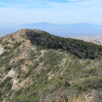 Rincon Mountains from Mount Glenn
