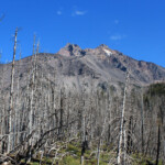 Mount Jefferson from Woodpecker Ridge