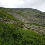 Mount Washington from Tuckerman Ravine Trail