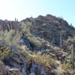Approaching the summit of Nose Benchmark