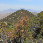 Veterans Peak from Mount Washington