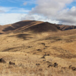 Black Canyon Peak (Peak 4920) above the Snake River