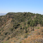 Southwest along the Verde Rim from Pine Mountain