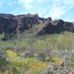 South Mountain's East Face