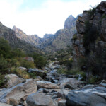 Upper Pima Canyon, Santa Catalina Mountains