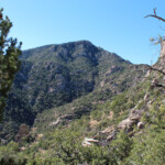 Mount Kimball from the Ventana Trail