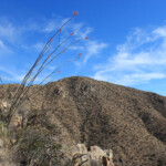 Wasson Peak from the King Canyon Trail