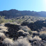Woolsey Peak north slope bajada