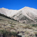 Boundary Peak from Trail Canyon