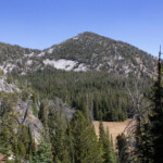 Chloride Ridge West Peak above Mayflower Meadow