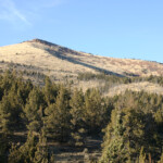 Gray Butte